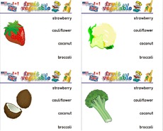 Holzcomputer fruit-vegetable 01.pdf